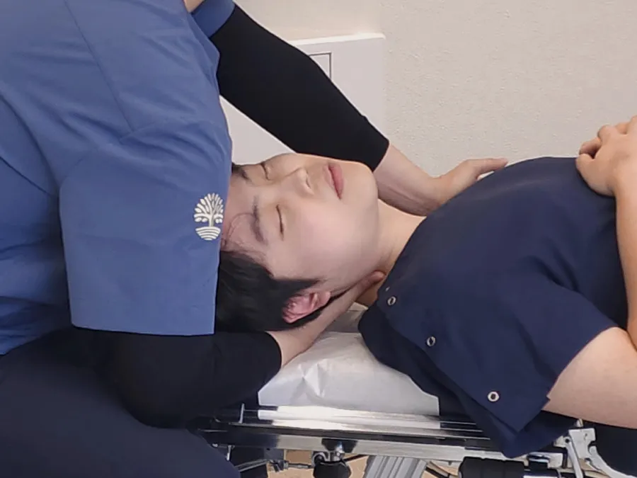 $200 premium body skin wellness VIP Korean medicine Seoul